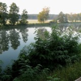 1609F 090 Camping Forsthaus